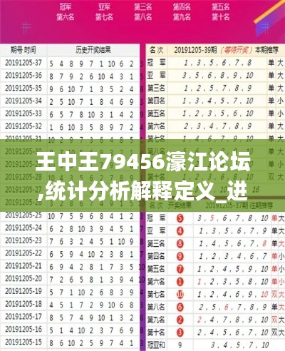 王中王79456濠江论坛,统计分析解释定义_进阶版166.387-6