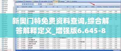 新奥门特免费资料查询,综合解答解释定义_增强版6.645-8