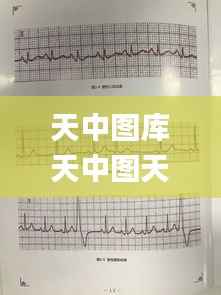 天中图库天中图天中图库汇总,预测分析解释定义_特供版169.912-8