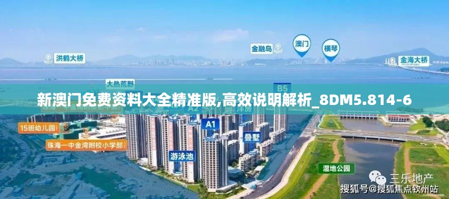 新澳门免费资料大全精准版,高效说明解析_8DM5.814-6
