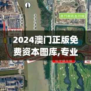 2024澳门正版免费资本图库,专业问题执行_复刻版183.377-2