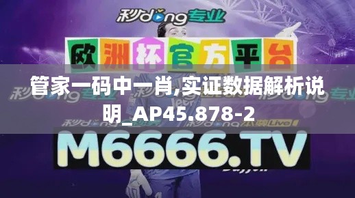 管家一码中一肖,实证数据解析说明_AP45.878-2