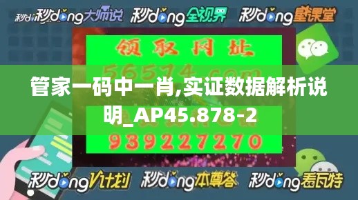 管家一码中一肖,实证数据解析说明_AP45.878-2