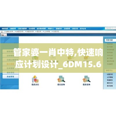 管家婆一肖中特,快速响应计划设计_6DM15.673-4