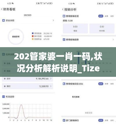 202管家婆一肖一码,状况分析解析说明_Tizen184.656-2