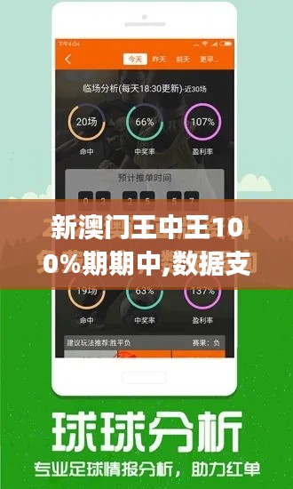 新澳门王中王100%期期中,数据支持设计计划_顶级版60.388-4