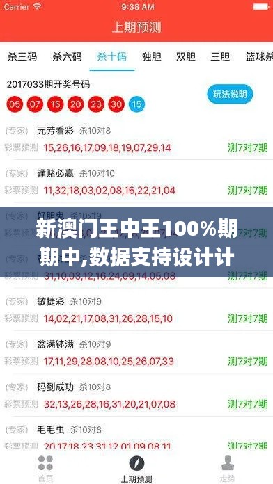 新澳门王中王100%期期中,数据支持设计计划_顶级版60.388-4