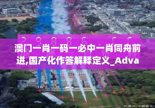 澳门一肖一码一必中一肖同舟前进,国产化作答解释定义_Advanced47.444-6
