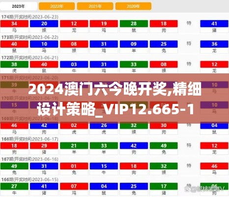 2024澳门六今晚开奖,精细设计策略_VIP12.665-1