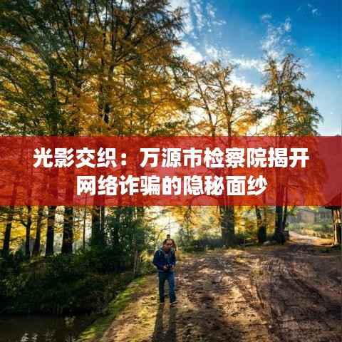 光影交织:万源市检察院揭开网络诈骗的隐秘面纱