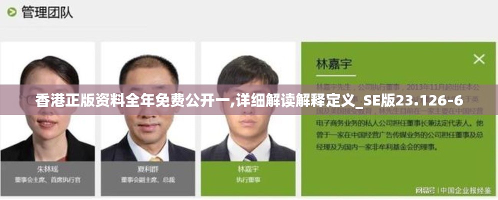 香港正版资料全年免费公开一,详细解读解释定义_SE版23.126-6