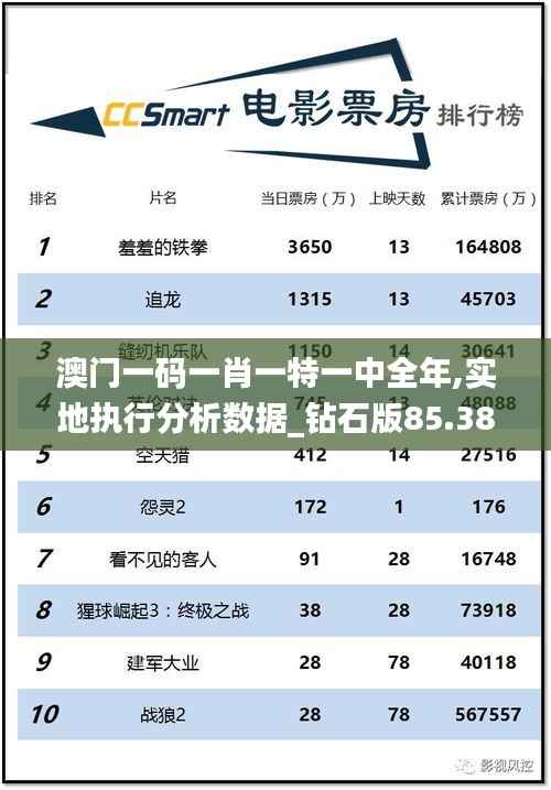 澳门一码一肖一特一中全年,实地执行分析数据_钻石版85.382-1