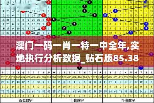 澳门一码一肖一特一中全年,实地执行分析数据_钻石版85.382-1