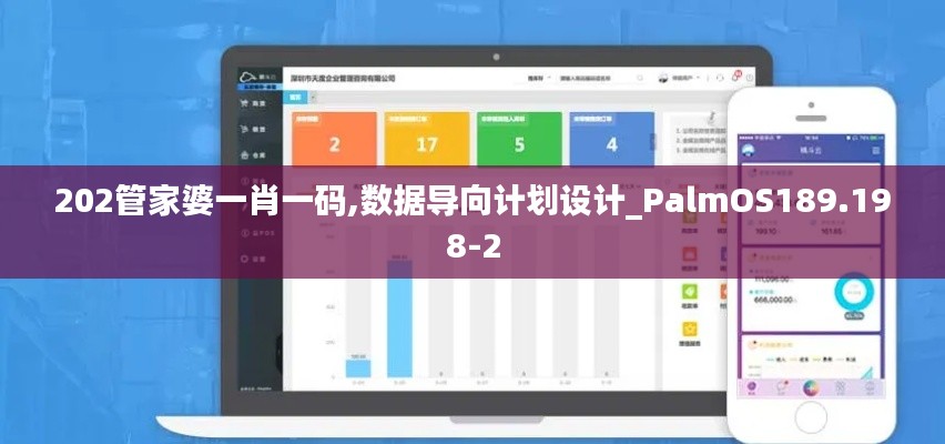 202管家婆一肖一码,数据导向计划设计_PalmOS189.198-2