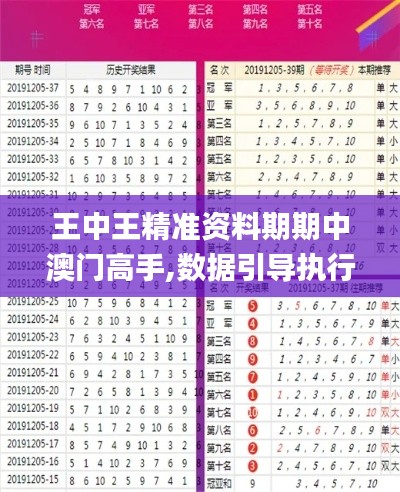 王中王精准资料期期中澳门高手,数据引导执行计划_标准版64.646-8