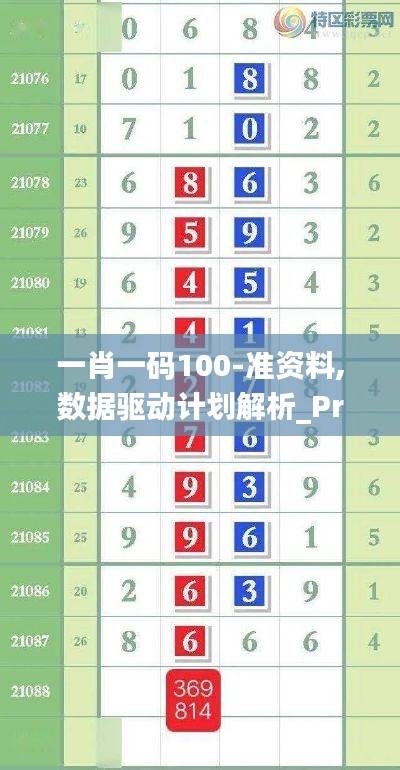 一肖一码100-准资料,数据驱动计划解析_Premium73.492-2