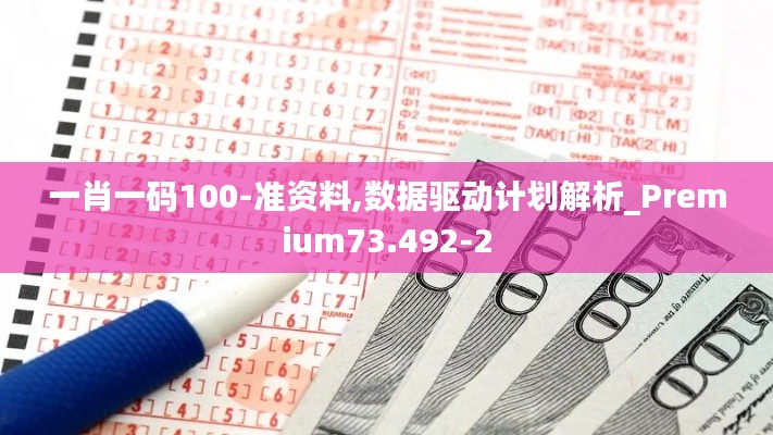 一肖一码100-准资料,数据驱动计划解析_Premium73.492-2