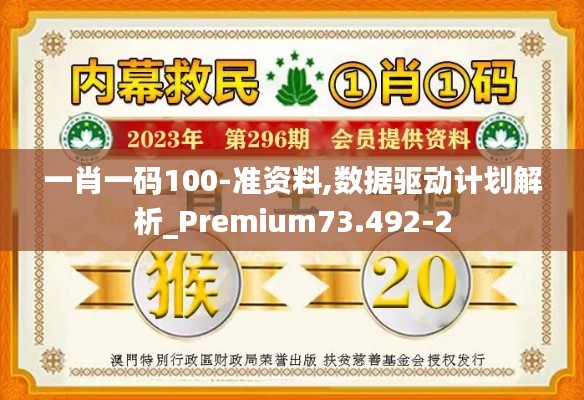 一肖一码100-准资料,数据驱动计划解析_Premium73.492-2