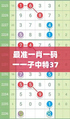 最准一肖一码一一子中特37b,创新策略推广_豪华款71.345-5