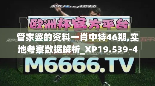 管家婆的资料一肖中特46期,实地考察数据解析_XP19.539-4