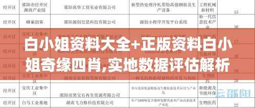 白小姐资料大全+正版资料白小姐奇缘四肖,实地数据评估解析_N版52.412-8