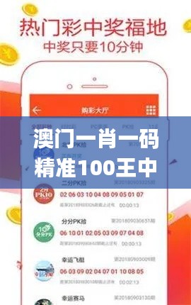澳门一肖一码精准100王中王,持久性执行策略_豪华版88.130-2