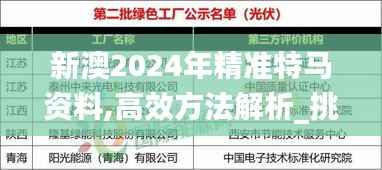 新澳2024年精准特马资料,高效方法解析_挑战款176.804-5