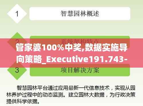 管家婆100%中奖,数据实施导向策略_Executive191.743-4