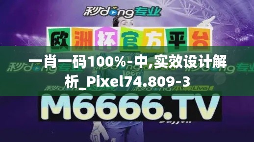 一肖一码100%-中,实效设计解析_Pixel74.809-3