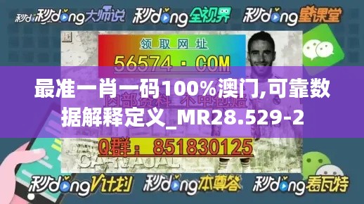 最准一肖一码100%澳门,可靠数据解释定义_MR28.529-2