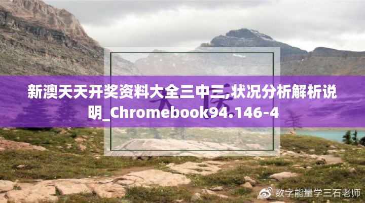 新澳天天开奖资料大全三中三,状况分析解析说明_Chromebook94.146-4