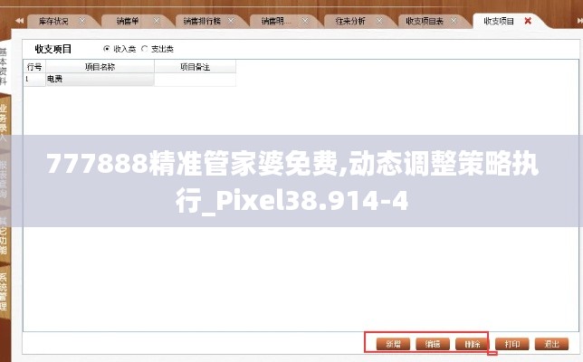 777888精准管家婆免费,动态调整策略执行_Pixel38.914-4