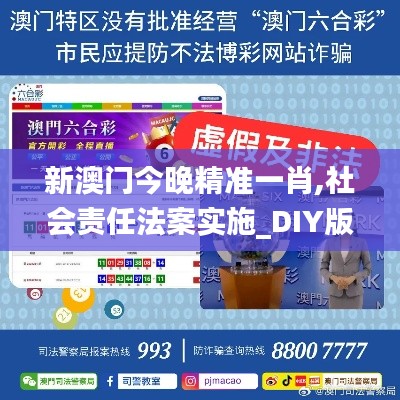 新澳门今晚精准一肖,社会责任法案实施_DIY版RWX94.979