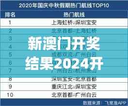 新澳门开奖结果2024开奖记录,实际案例解析说明_Q18.627-5