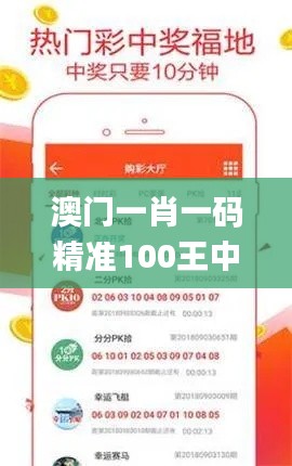 澳门一肖一码精准100王中王,前沿研究解析_粉丝款31.801-6