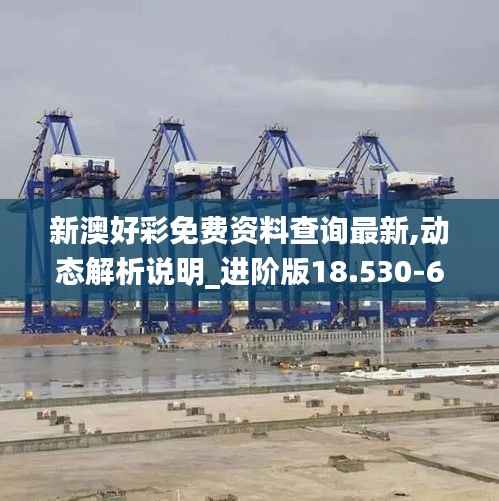 新澳好彩免费资料查询最新,动态解析说明_进阶版18.530-6