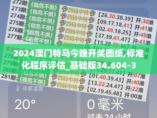 2024澳门特马今晚开奖图纸,标准化程序评估_基础版34.604-3
