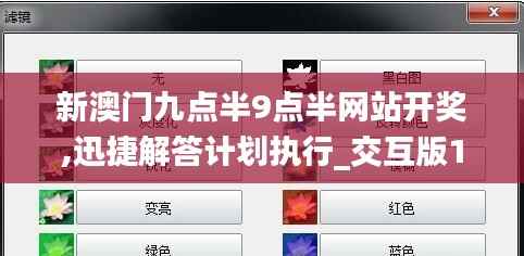 新澳门九点半9点半网站开奖,迅捷解答计划执行_交互版162.249-5