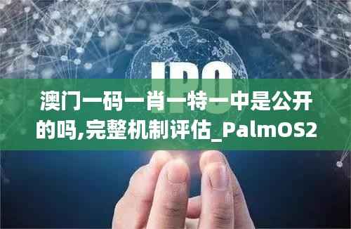 澳门一码一肖一特一中是公开的吗,完整机制评估_PalmOS26.725-4