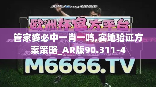 管家婆必中一肖一鸣,实地验证方案策略_AR版90.311-4