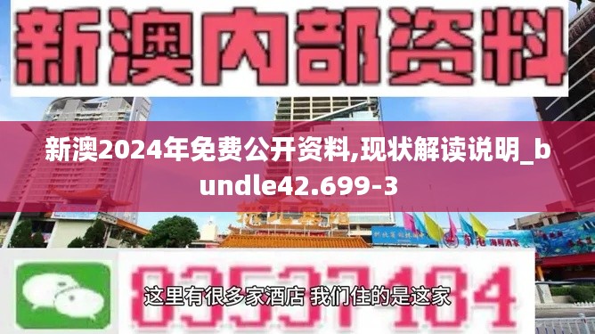 新澳2024年免费公开资料,现状解读说明_bundle42.699-3