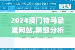 2024澳门特马最准网站,精细分析解释定义_RX版34.750-2