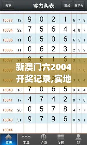 新澳门六2004开奖记录,实地数据验证计划_安卓版38.251-9