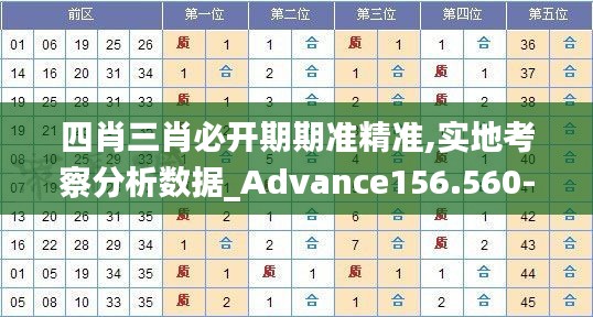 四肖三肖必开期期准精准,实地考察分析数据_Advance156.560-4