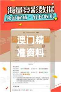 澳门精准资料免费正版大全,实地考察数据策略_9DM38.306-1