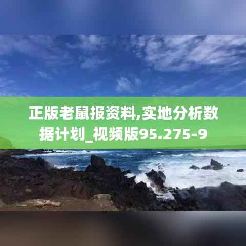 正版老鼠报资料,实地分析数据计划_视频版95.275-9