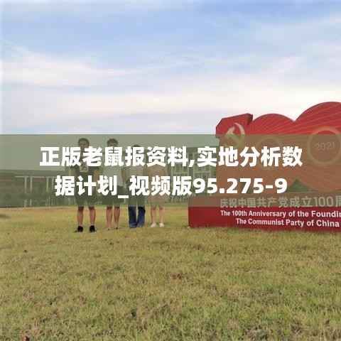 正版老鼠报资料,实地分析数据计划_视频版95.275-9