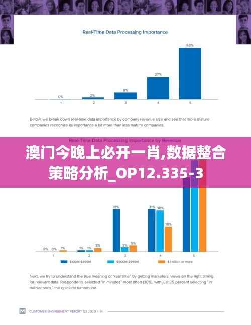 澳门今晚上必开一肖,数据整合策略分析_OP12.335-3