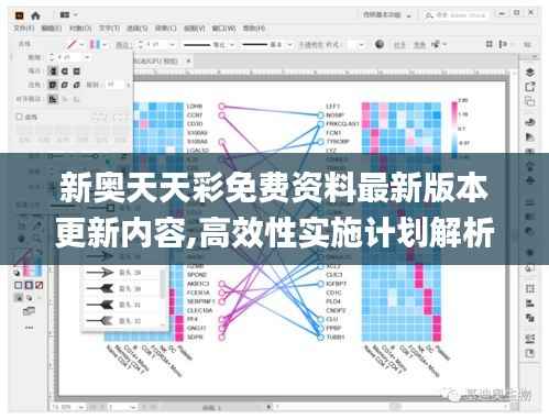 新奥天天彩免费资料最新版本更新内容,高效性实施计划解析_kit57.935-2