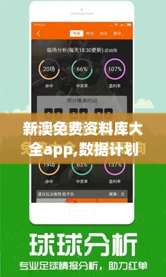 新澳免费资料库大全app,数据计划引导执行_app89.898-7